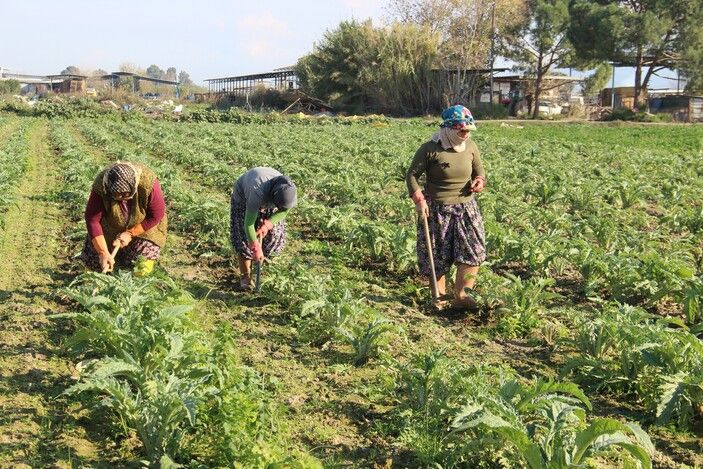 Tarım işçisi kadınlar ücretlerin düşüklüğünden şikayetçi