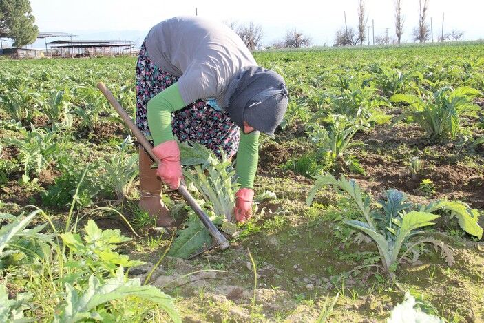 Tarım işçisi kadınlar ücretlerin düşüklüğünden şikayetçi